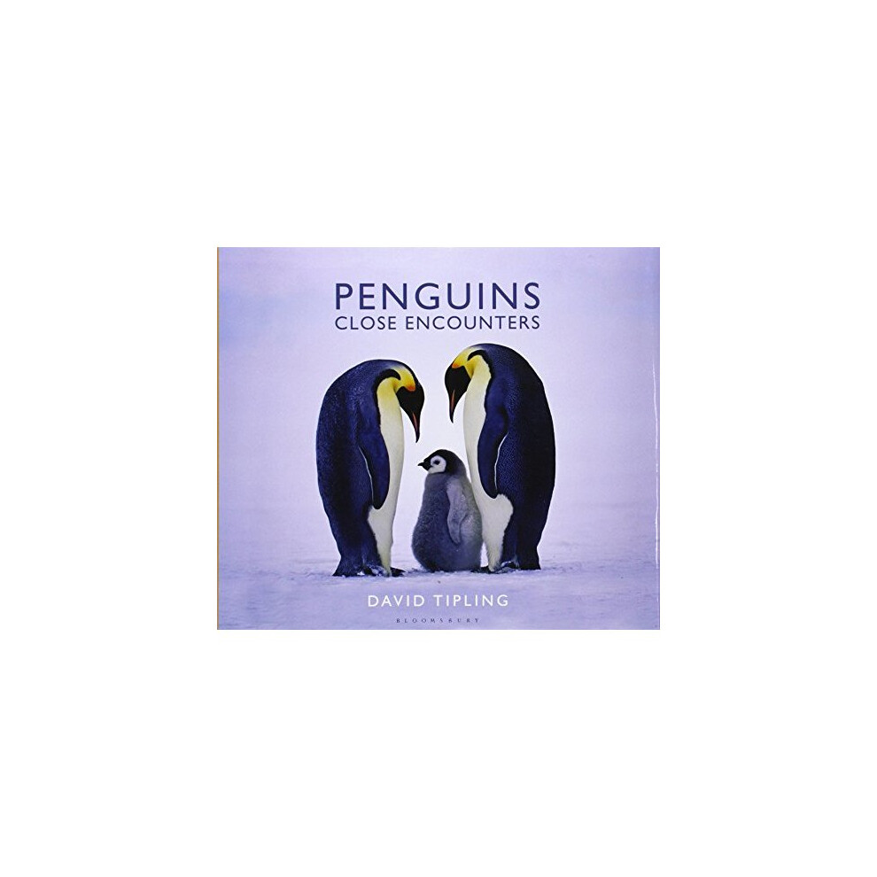 Penguins