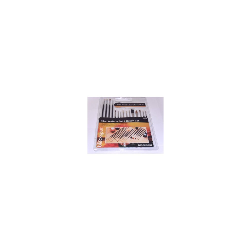 Blackspur 15pc Assorted Artist Brushes -  paint brushes artist assorted 15 15pc painting craft oil set blackspur flat tipped acrylic