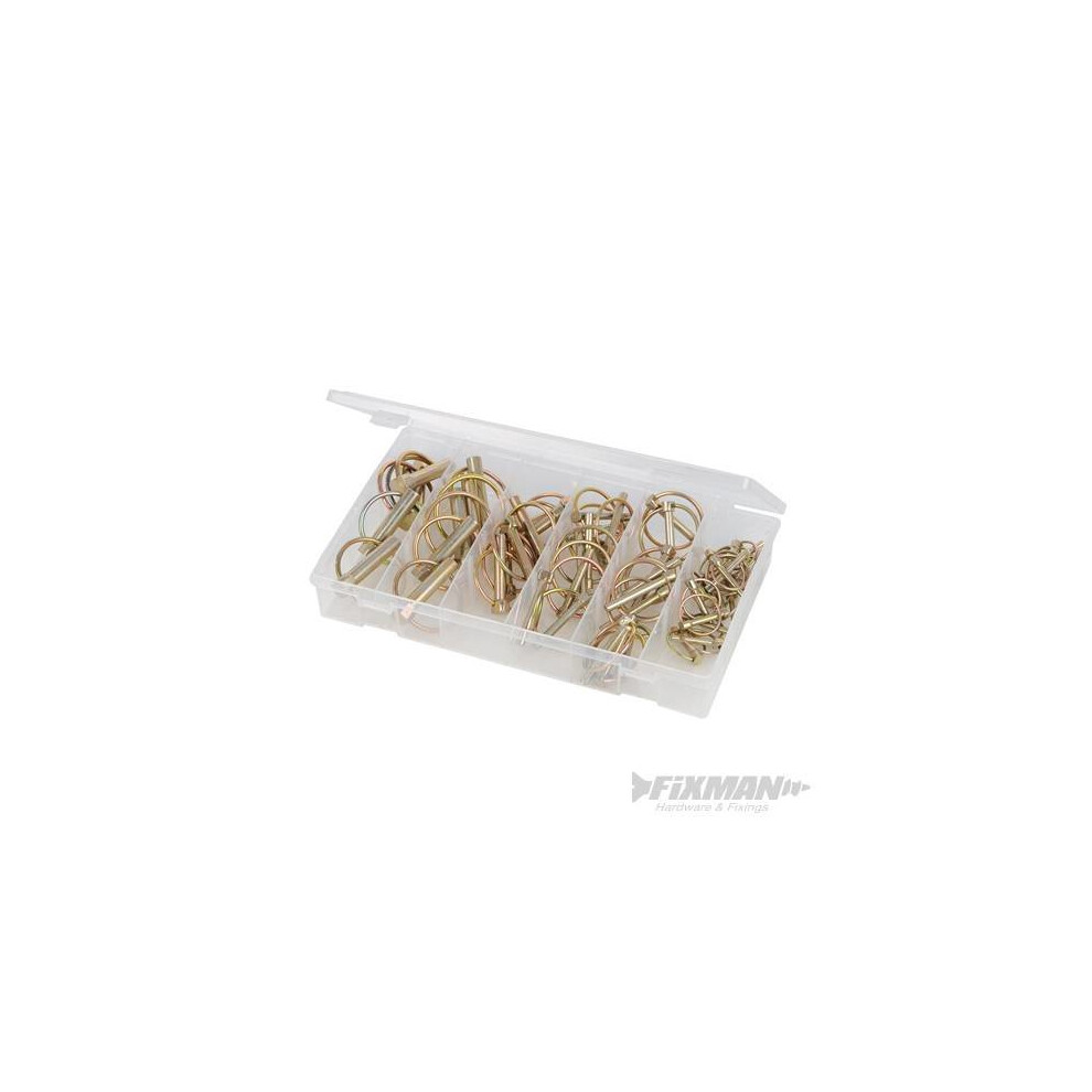 Fixman Lynch Pins Pack 50pce -  pack lynch pins fixman 249505 50pce