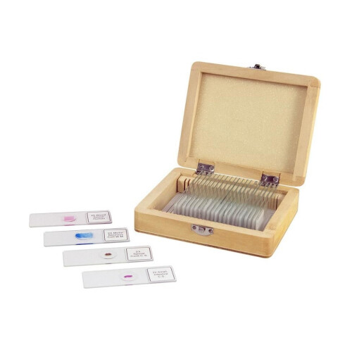 Celestron Celestron 25 Prepared Microscope Slides