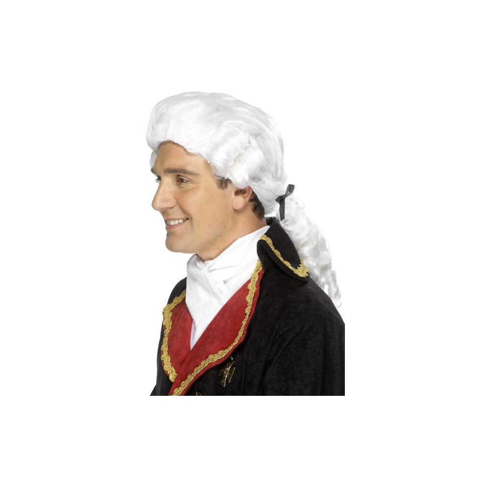 Smiffy's Court Wig - White -  wig court white smiffys fancy dress judge costume accessory