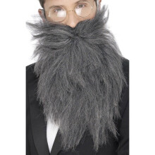 Long gray beard man