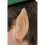 Adult Elf Ears 1