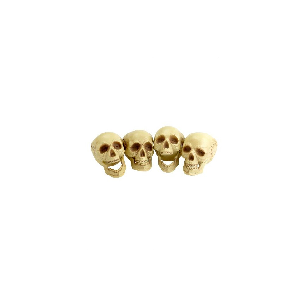 Smiffy's Skull Head Natural Colour - 4 Pieces - Heads Fancy Dress Halloween -  skull heads fancy dress halloween 4 pieces unisex party