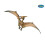 Figurina Pteranodon - PAPO - I DINOSAURI - Grigio - Per bambini di 3 anni e oltre 1