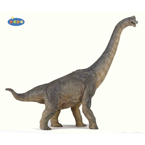 Brachiosaurus figuur Papo voor kinderen vanaf 3 jaar - Dinosaurussen