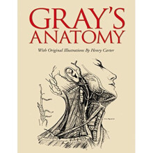 Gray's Anatomy