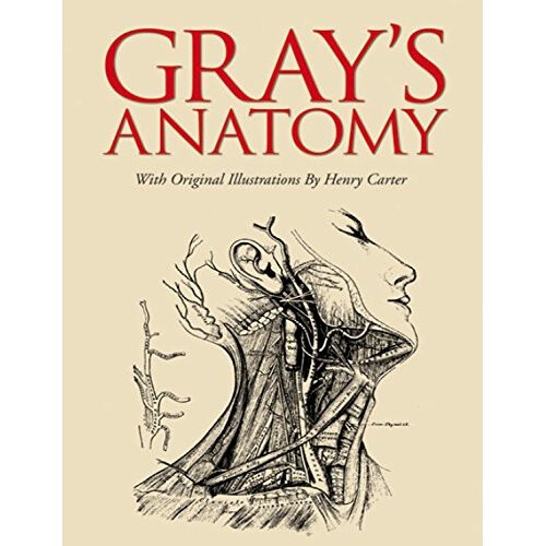 Gray's Anatomy