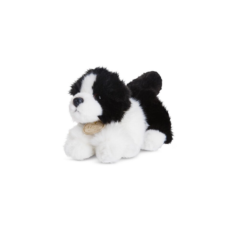 8" Miyoni Tots Collie Soft Toy - Aurora Plush Cuddly New Teddy Brand 8 -  aurora miyoni collie plush cuddly soft toy new teddy brand tots 8