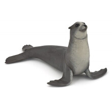 Figurinha de foca