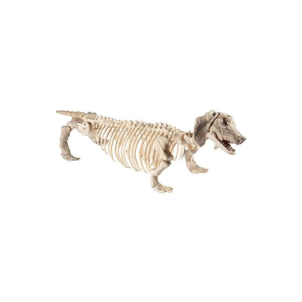 Smiffy's 46909 Dachshund Dog Skeleton Prop (One Size) - Daschund - Daschund Dog Skeleton Prop Green