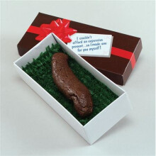 Turd In Grass Fake Poo Present - New Trick Joke Gag Prank Novelty - New Trick Poo Turd In Grass Joke Gag Prank Novelty