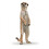 Estatueta de Suricata em pé 1