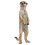 Estatueta de Suricata em pé 2