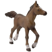 Figurinha Poulain anglo-árabe - PAPO - CAVALOS, POULAIN E PÔNEIS - Interior
