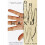 The Hand (Vintage) 1