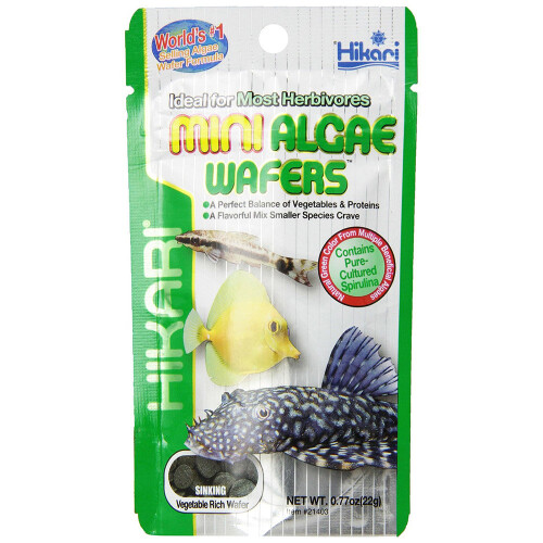 Hikari Hikari Mini Algae Wafers 22g