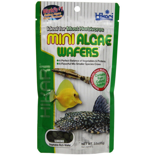Hikari Hikari Mini Algae Wafers 85g