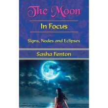The Moon In Focus