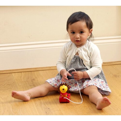 Orange Tree Toys Pull Along Lion 2