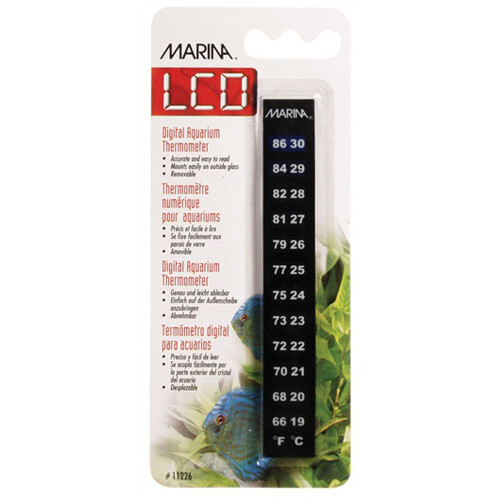 Marina Minerva LCD Thermometer