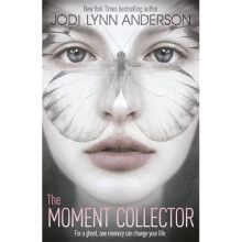 The Moment Collector
