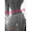 Luscious 1