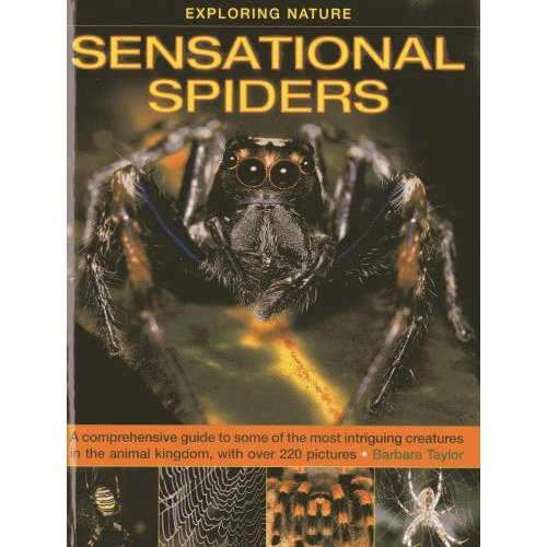 **Intriguing & Slightly Sensational:** - ueu6zox