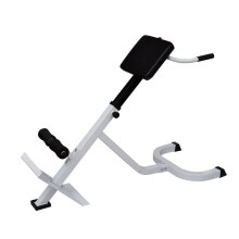 vidaXL Back Extension Trainer Bench Roman Chair Fitness Exercise Folding Design