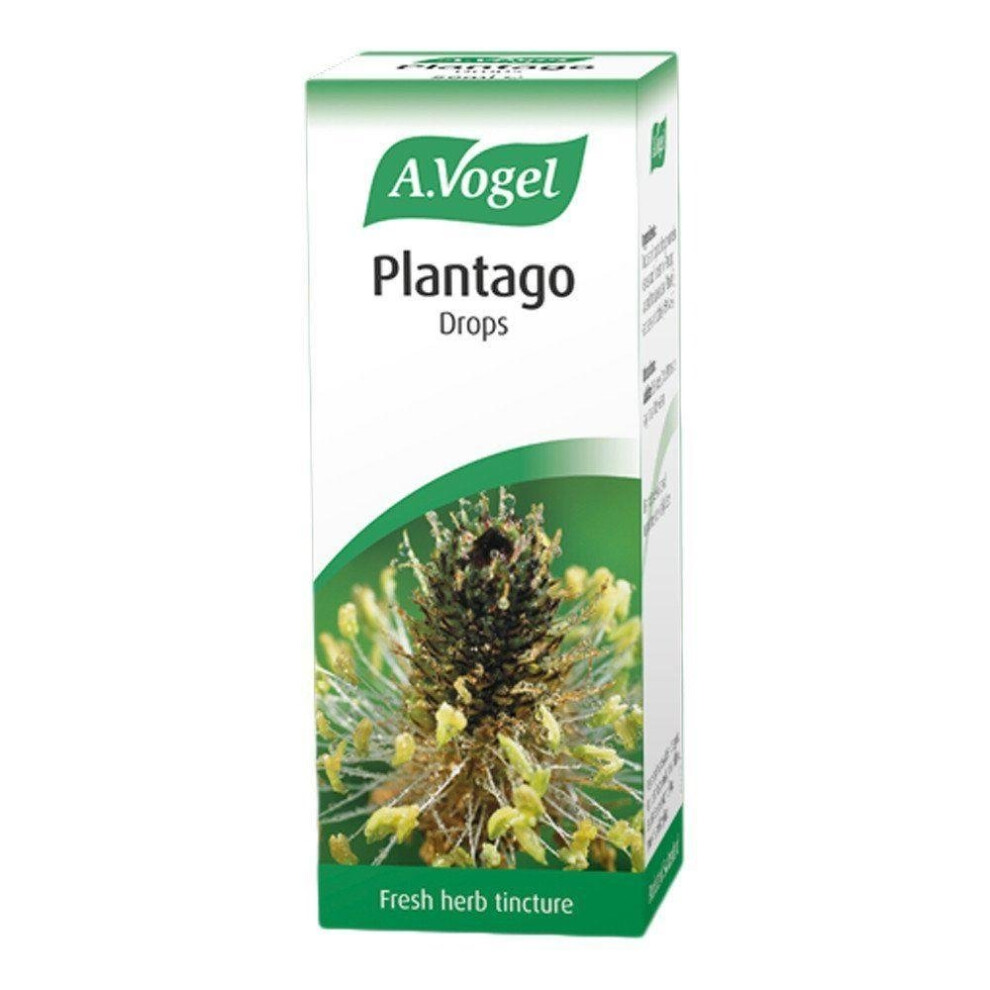 A. Vogel, Plantago lanceolata oral Drops 50ml. BBE 08/2030 - Image 7