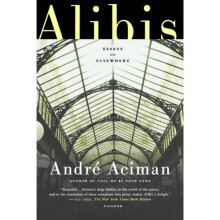 Alibis: Essays on Elsewhere