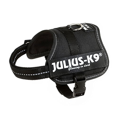 Bb2 sales dog harness