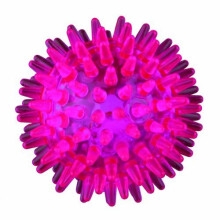Flashing Hedgehog, Thermoplastic Rubber (tpr), Floatable - Hedgehog Tpr Trixie -  flashing rubber hedgehog thermoplastic tpr floatable trixie ball