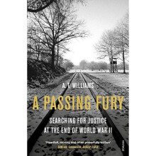 A Passing Fury: Searching for Justice at the End of World War II