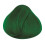 La Riche Directions Pomme Verte 1