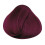La Riche Directions Dark Tulip 1