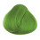 La Riche Directions Spring Green 1