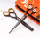 5.5 inch Professional hair dressing, thinning scissors with a Presentation Case 2