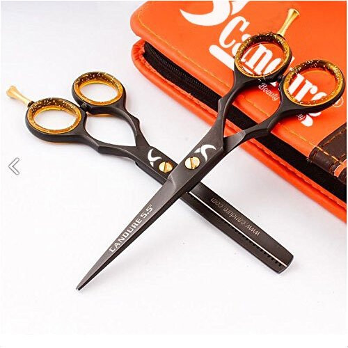 5.5 inch Professional hair dressing, thinning scissors with a Presentation Case 1
