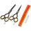 5.5 inch Professional hair dressing, thinning scissors with a Presentation Case 3