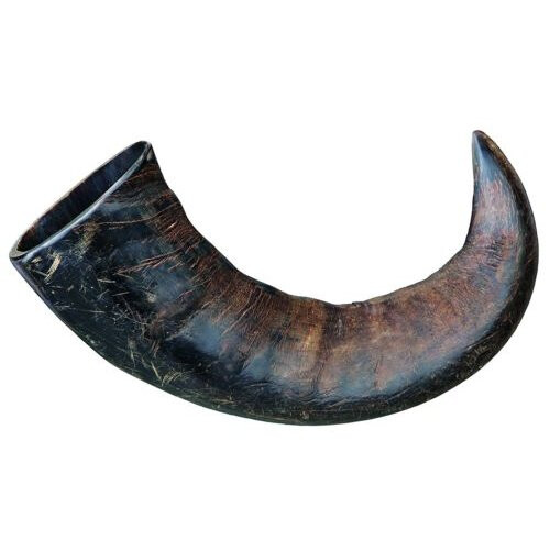 Trixie Trixie Genuine Buffalo Chewing Horn, Large