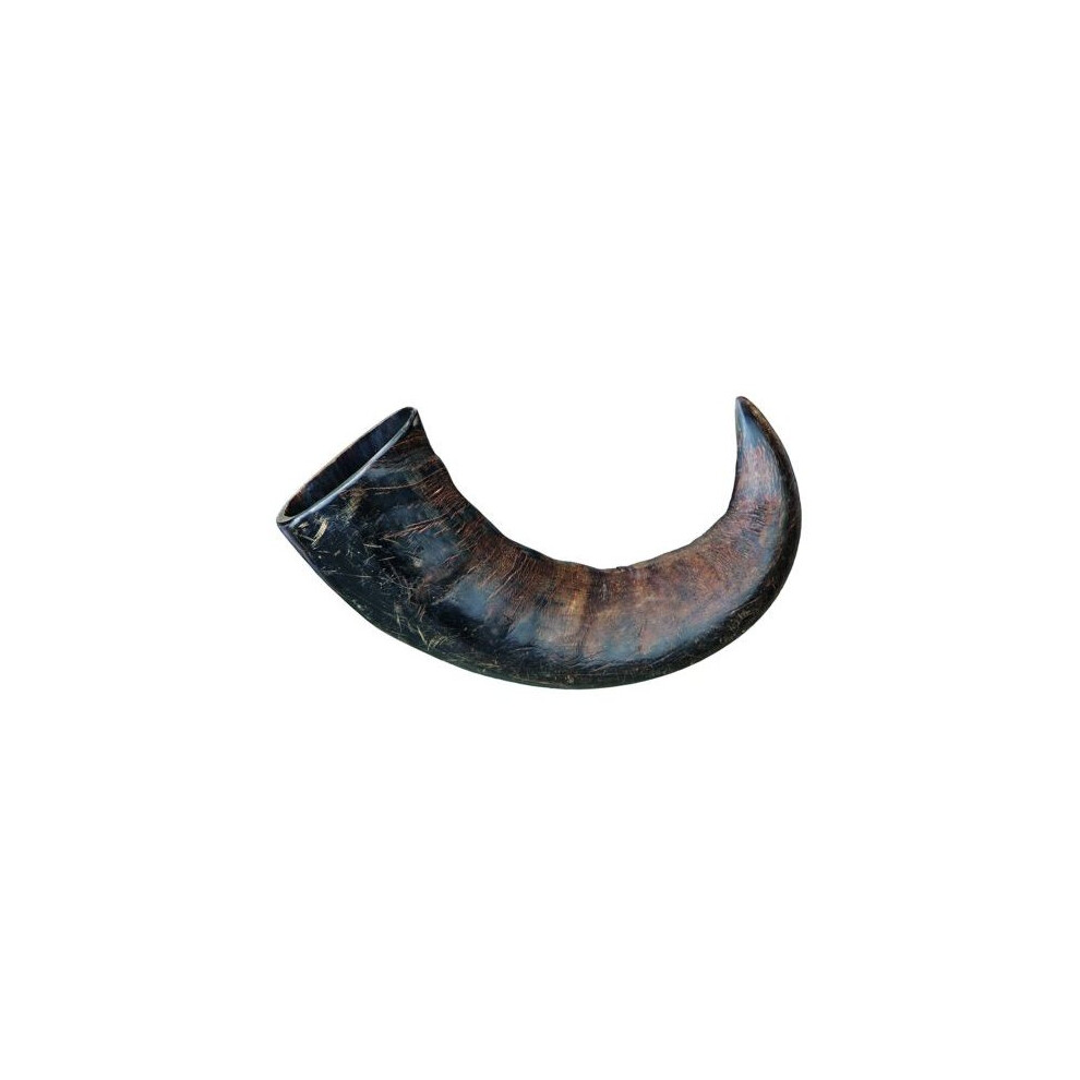 Trixie Genuine Buffalo Chewing Horn, Large