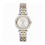 Michael Kors Michael Kors MK3405 Darci Dreeziger Dameshorloge 1