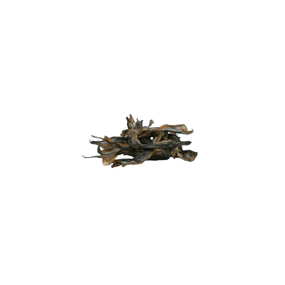 Sprats, Dried Fish, For Dogs, 5kg - Sprats Dog Puppy Fish Treats Whole 100 -  dried sprats dog puppy fish treats whole 100 natural tasty barf