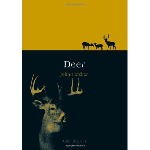 Deer (Animal Series)