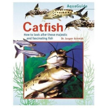 AquaGuide to Catfish