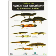 Guide to the Reptiles and Amphibians of Britain and Ireland (Occasional Publications)