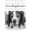 How Dogs Learn 1