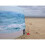 OLPRO OLPRO The Beach 5 Pole Windbreak (Wooden poles) 3