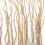 Trixes Dew Drop String Curtain | Gold String Curtain Panel 5
